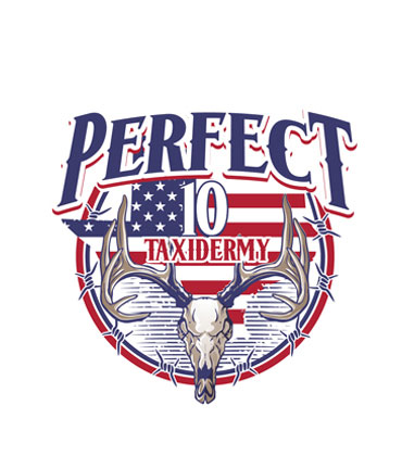 Perfect 10 Logo Design