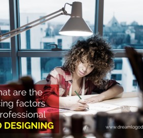What are the pricing factors in Professional Logo Designing What are the pricing factors in Professional Logo Designing