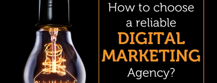 Digital Marketing Agency