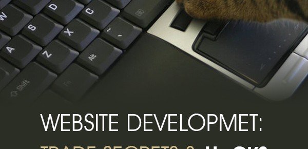 Website Development Trade Secrets and Hacks