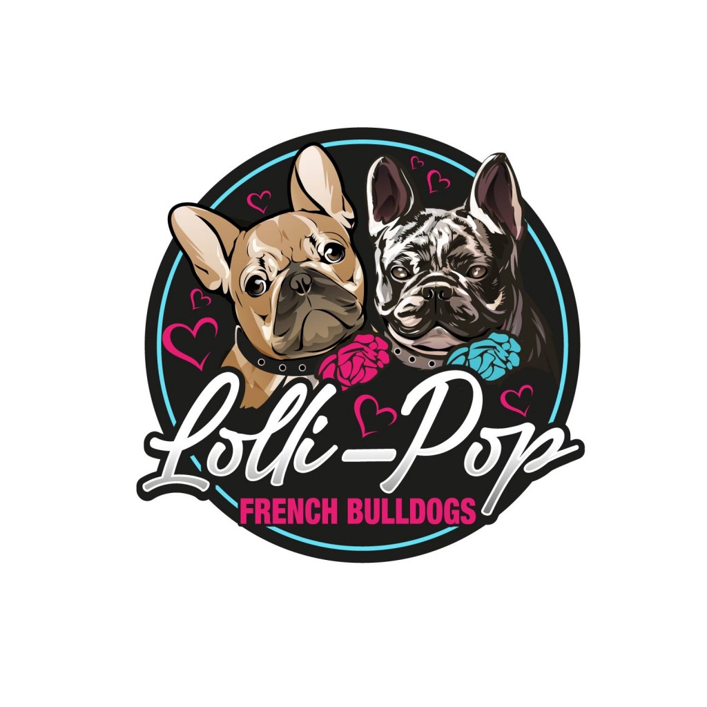 Logo Design 5
