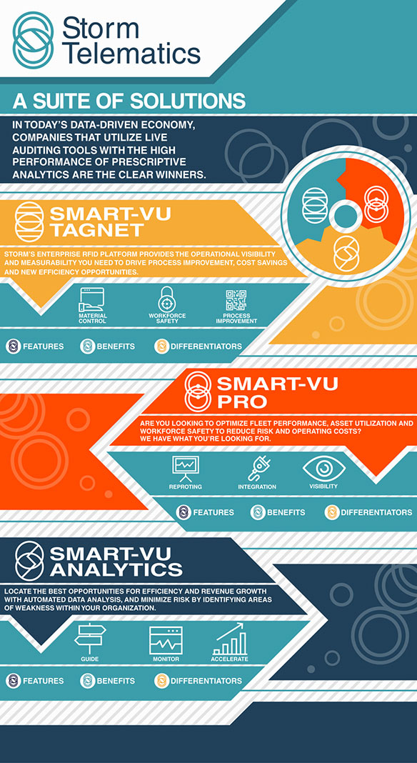 Infographic Design Portfolio 9 - DreamLogoDesign