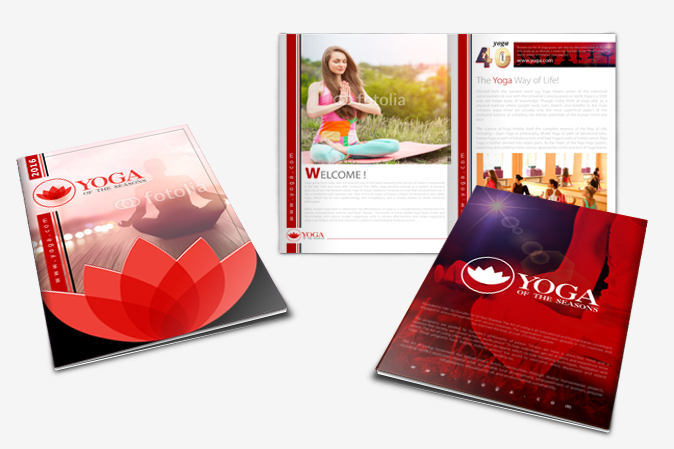 Media Kit Design Portfolio 1 - DreamLogoDesign