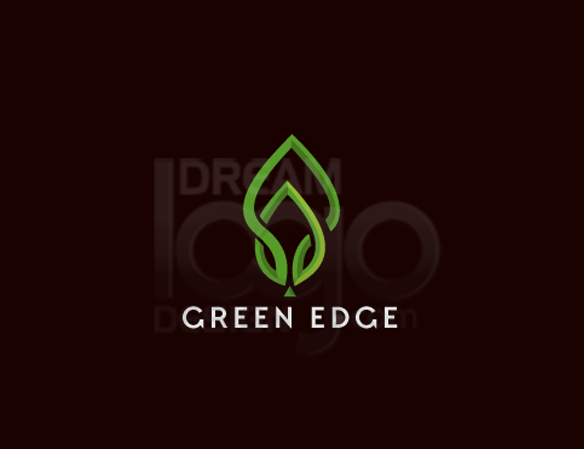 Recent Feature Logo Portfolio 37 - DreamLogoDesign