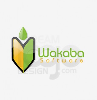 Software51