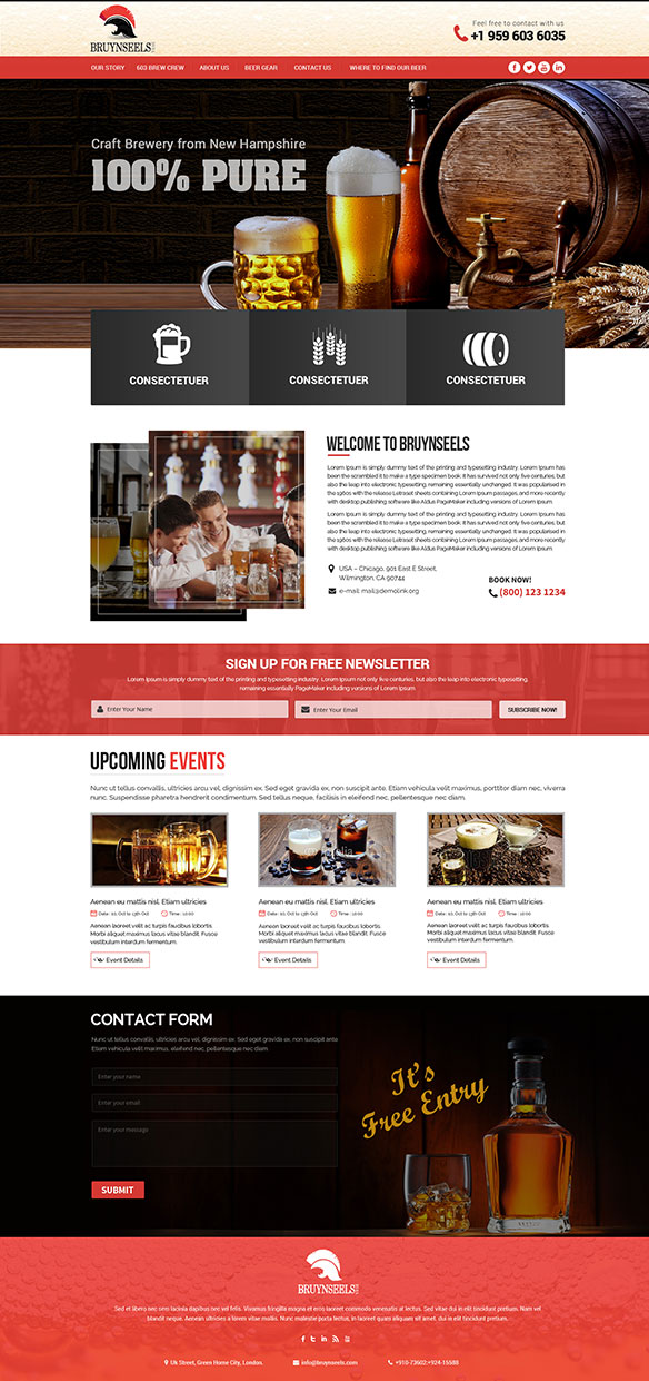 Web Design Portfolio 11